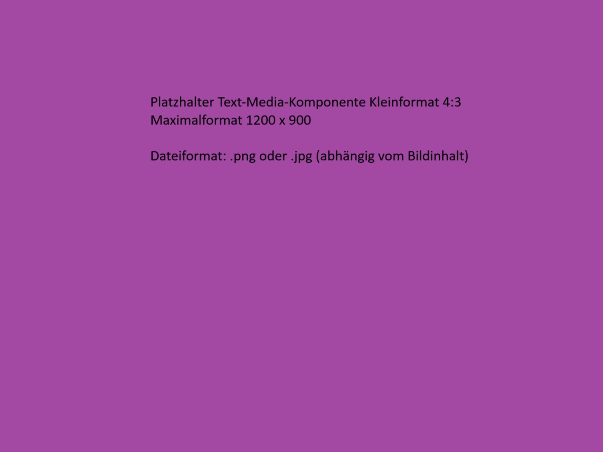 Purple background with German text indicating a placeholder for a media component. Specifies format and dimensions: 1200 x 900, .png or .jpg.